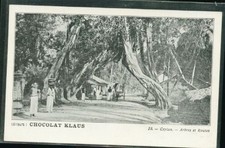 Ceylan chacolat klaus d'occasion  Reims