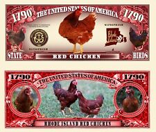 Rhode island red for sale  USA