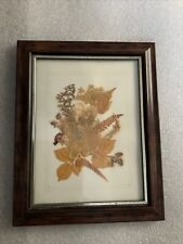 Beautiful frame dried for sale  NOTTINGHAM
