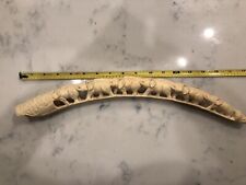 ivory tusk for sale  Pittsburgh