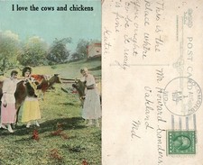 Usado, I LOVE THE COWS & CHICKENS FARM SCENE 1907 ANTIQUE POSTCARD comprar usado  Enviando para Brazil