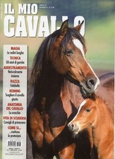 Mio cavallo 2018 usato  Campagna