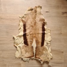Rare antique animal for sale  LEICESTER