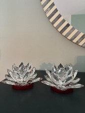 Red clear lotus for sale  Saint Louis