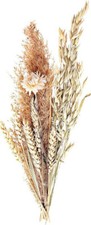 Trockenblumenstrauß natural w gebraucht kaufen  Bruck