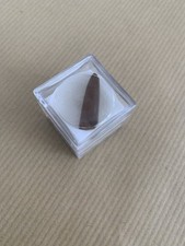 Rostre belemnite fossile d'occasion  Conques-sur-Orbiel