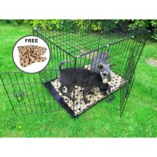 Avc pet dog for sale  COLCHESTER