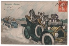 Neujahr junge katzen gebraucht kaufen  Reichenbach im Vogtland