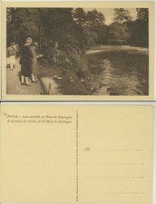 Paris ducks bois d'occasion  Expédié en Belgium
