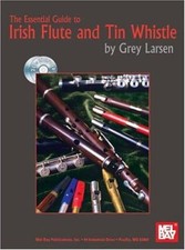 Essential guide irish for sale  Shipping to United Kingdom