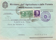 Milizia nazionale forestale usato  Bologna