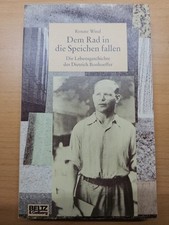 Dem rad speichen gebraucht kaufen  Bitz