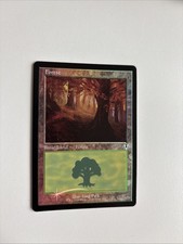 Forest magic the gebraucht kaufen  Markt Erlbach