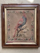 Antique regency parrot for sale  UK