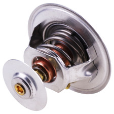 Thermostat 87803664 massey gebraucht kaufen  Bremen