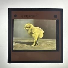 Antique magic lantern for sale  SOLIHULL