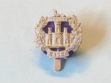Essex regiment anodised for sale  TEWKESBURY