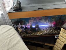 Fish tank for sale  PETERBOROUGH