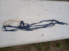 Pessoa type training for sale  TAUNTON