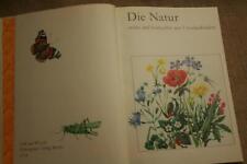 Naturbuch gartenbuch kindergar gebraucht kaufen  Weimar