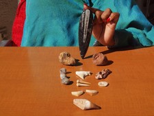 Fossil collection mosasurus for sale Fossil collection mosasurus for sale  Tucson