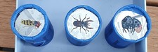 Euro münzen insektenreich gebraucht kaufen  Hildesheim