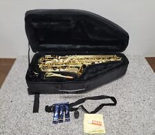 Saxofone Stagg Alto modelo 77-SA em estojo rígido comprar usado  Enviando para Brazil