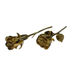 Gold plant dipped for sale  Onalaska