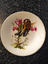 Royal kendal goldfinch for sale  MARKET RASEN