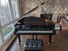 Hailun hg198 piano for sale  Chicago