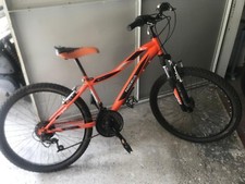 Bicicletta mountain bike usato  Livorno