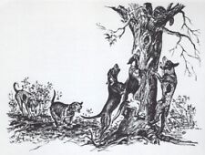 Coonhound hunting custom for sale  Tampa