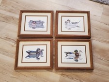 prints duck richard sloan for sale prints duck richard sloan for sale Sandpoint