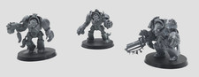 Wolf guard terminators gebraucht kaufen  Puderbach