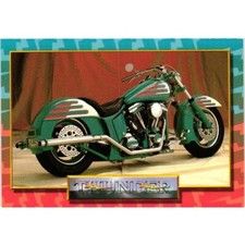 1993 thunder productions for sale  Sanger