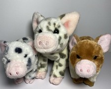 Douglas spotted pig for sale  Dayton