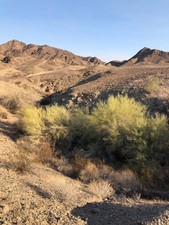 Acre placer mining for sale  Yuma