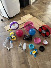 Hamster small animal for sale  FAVERSHAM