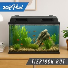 Ware diy zoopaul gebraucht kaufen  Senftenberg