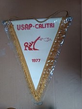Gagliardetto pennant originale usato  Casandrino