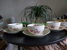 Rosenthal sanssouci teetasse gebraucht kaufen  Kleve