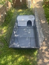 Rabbit guinea pig for sale  LONDON