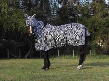Light zebra fly for sale  YORK