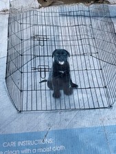 Puppy play pen for sale  NUNEATON