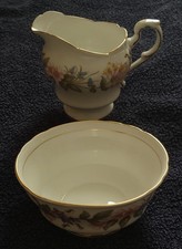 Paragon bone china for sale  BRIGHTON