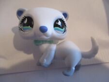 Petshop ferret 798 d'occasion  Expédié en Belgium