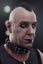 Foto till lindemann gebraucht kaufen  Rostock