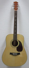 Na76 akustik dreadnought gebraucht kaufen  Niederkrüchten