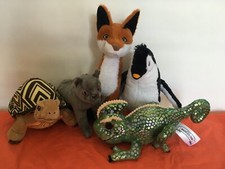 Schule magischen tiere gebraucht kaufen  Berlin