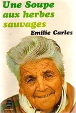 Soupe herbes sauvages d'occasion  Expédié en Belgium